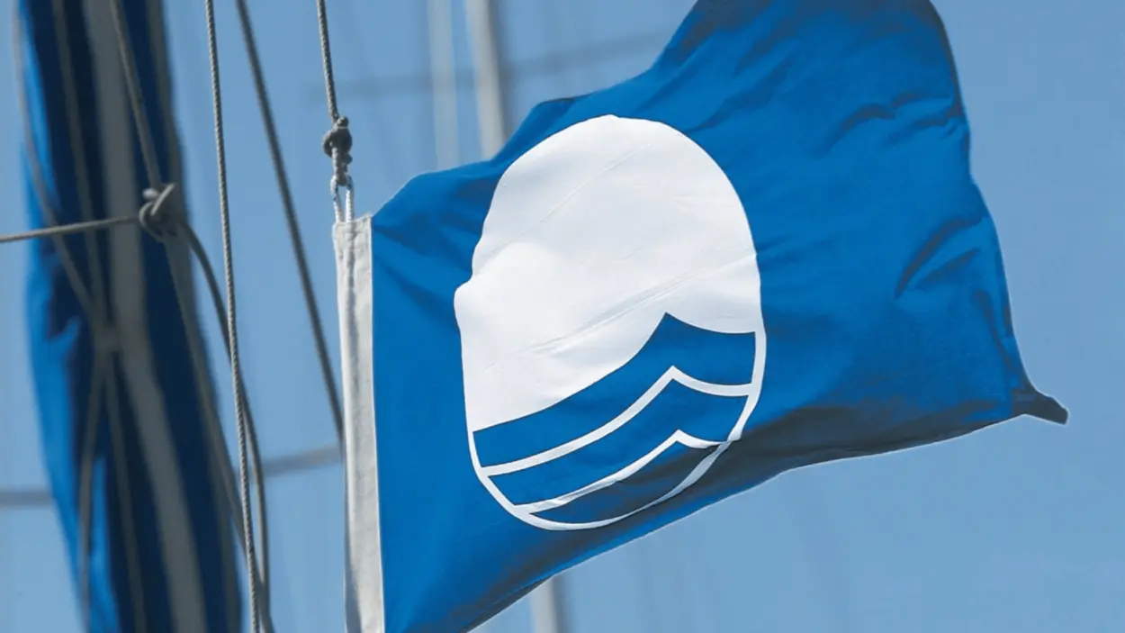 Blauwe Vaantje
