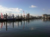 Marina Seaport IJmuiden 1.jpg