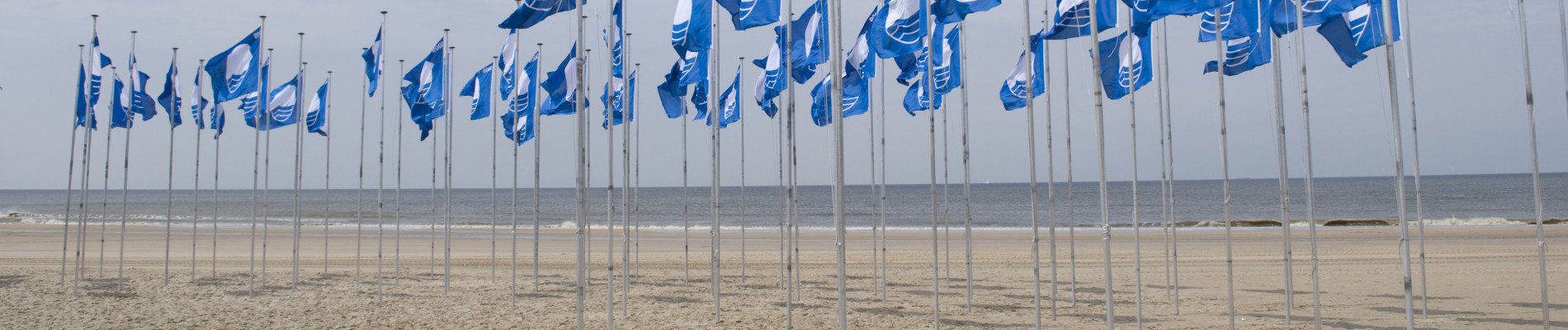Header Blauwe Vlag Informatie Vlaggen Strand